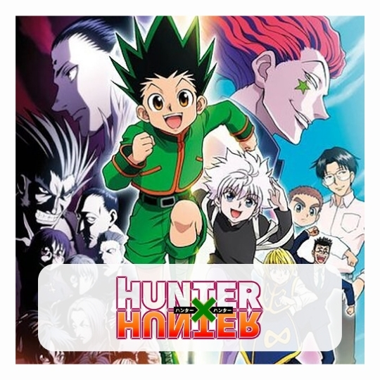 Hunter x Hunter merch - Anime Cap